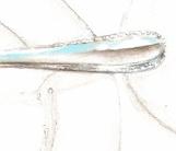 fork