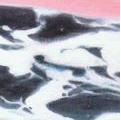 gallery2
