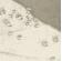 SCAN02982