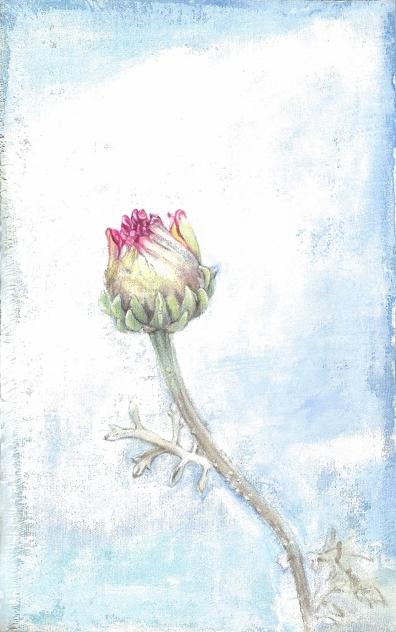 tubomi